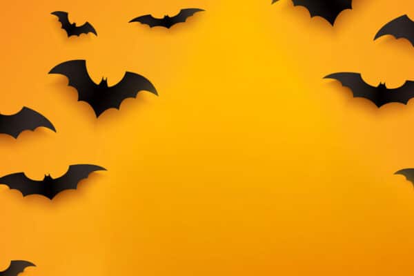 Bats flying on an Halloween orange background